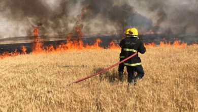 IMG 20210522 180548 370