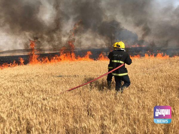 الدفاع المدني تنقذ 117 دونماً في صلاح الدين (صور) 9 IMG 20210522 180548 370