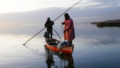 IMG ٢٠٢١٠٥١١ ١٥٢٩٤٧