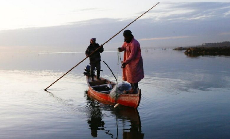 IMG ٢٠٢١٠٥١١ ١٥٢٩٤٧