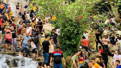 IMG ٢٠٢١٠٥١٦ ١٤٥٢٣٤