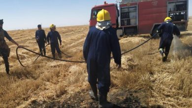 IMG ٢٠٢١٠٥١٦ ١٧٣٦١١