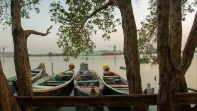 IMG ٢٠٢١٠٥٢٠ ١٦٠٠٤٨