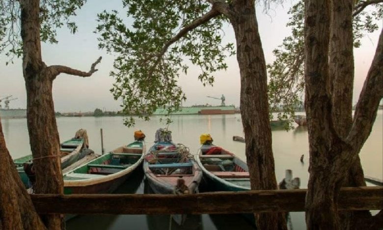 IMG ٢٠٢١٠٥٢٠ ١٦٠٠٤٨