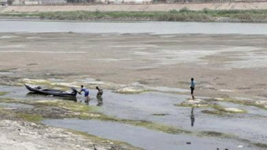 IMG ٢٠٢١٠٥٢٣ ١٧٥٨٢١