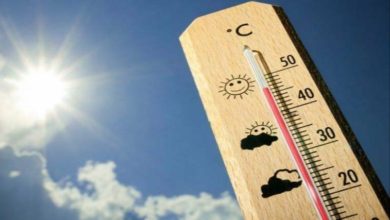 IMG ٢٠٢١٠٥٢٦ ١٧٥٤١١