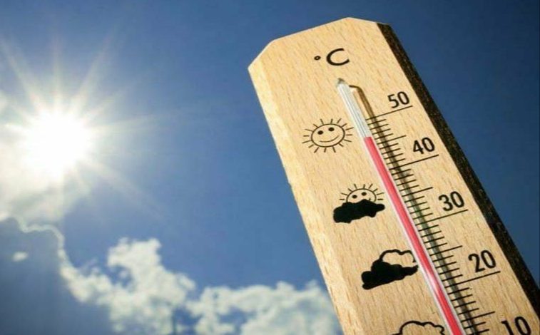 IMG ٢٠٢١٠٥٢٦ ١٧٥٤١١