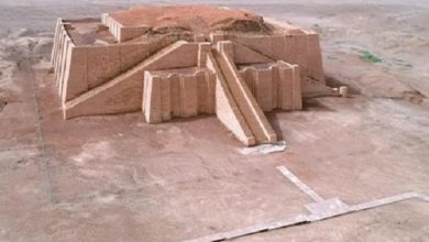 IMG ٢٠٢١٠٥٣٠ ١٤٢٠٠٥