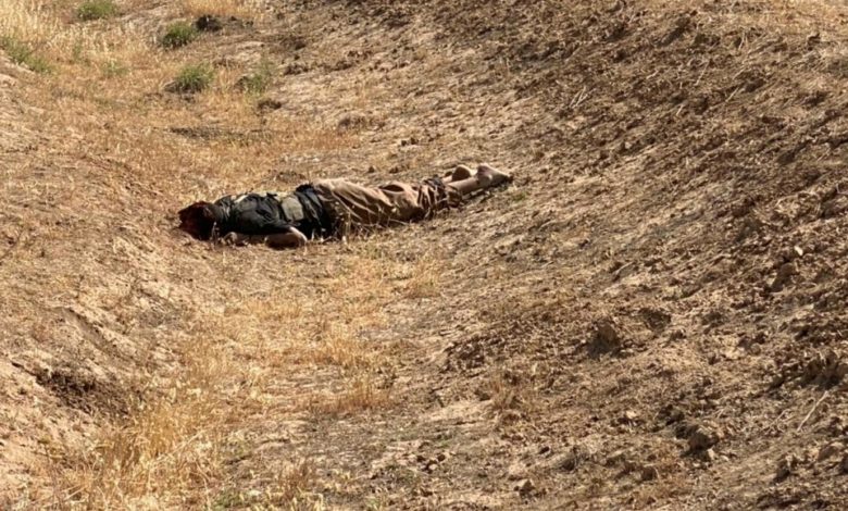 Screenshot 20210511 155659