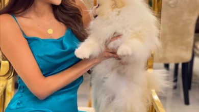 Screenshot ٢٠٢١٠٥١٧ ٢٢٤٥١٠