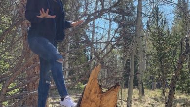 Screenshot ٢٠٢١٠٥٣٠ ٠٠٠٠٢٢