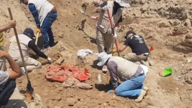 U¡U¥ U¤U¨ UU¨ 123052021 37624522 91b5 425d 881a db79c79790a7