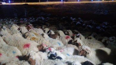 U¢U U¢U¡ U¥U¢ me ga