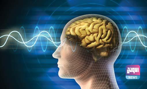 تتبع "حركة الفكرة" أثناء انتقالها عبر دماغ الإنسان من الإلهام إلى الاستجابة 1 alakl shor