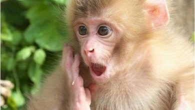 cfce2590108996c40c3c58d2edb73d72