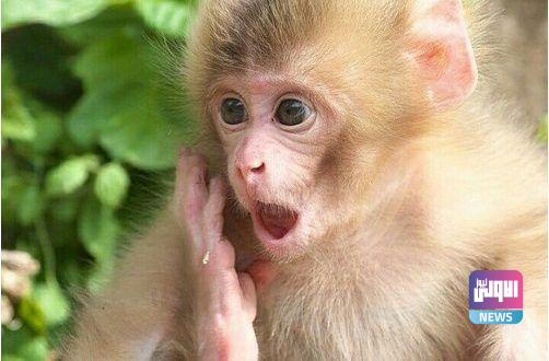 cfce2590108996c40c3c58d2edb73d72