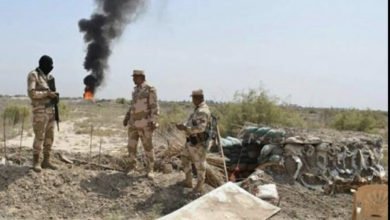 0132AB59 B082 43E5 83E8 7B7564804FA9