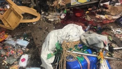 02CDE99D 6024 41B7 BC18 9533E6F18AFE