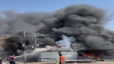 02F2BF20 3908 48E4 8846 1DF93D68337E