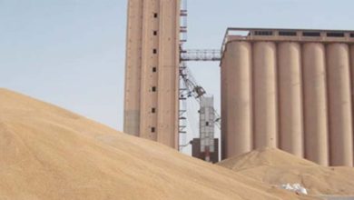 02FC82ED A629 4F6E 8BEF D62B8BFF5D79