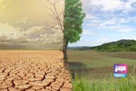 0382D270 EBEC 4FAE 9475 C4486D3D4FD7