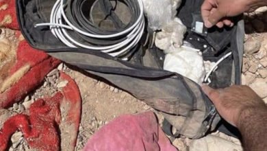 04E4348E 8D52 47F3 BB9F C6362E9BAD65