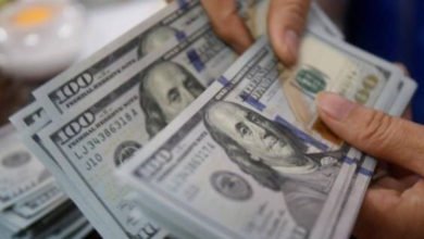 09B051A0 5A7C 491E 8C8C C672AFE5F9B9