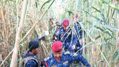 0A210C70 51E1 4CB4 A5E3 22CD48670F35