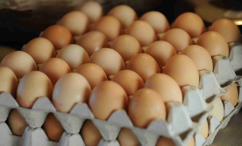 0BA9233F 6ED1 4FBE 9021 2DB99596BD1F