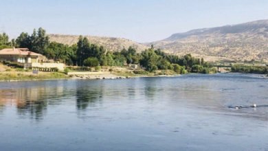 10415311 E7E8 481A 8821 AAEF8D07E380