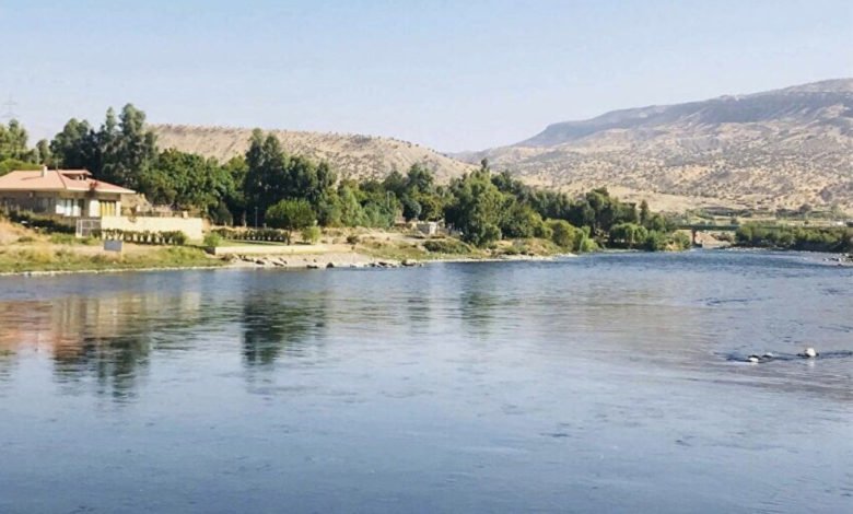 10415311 E7E8 481A 8821 AAEF8D07E380