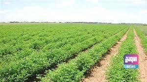 10E0CEA2 82FF 4CD4 BCFD 95C6E8E89EAF