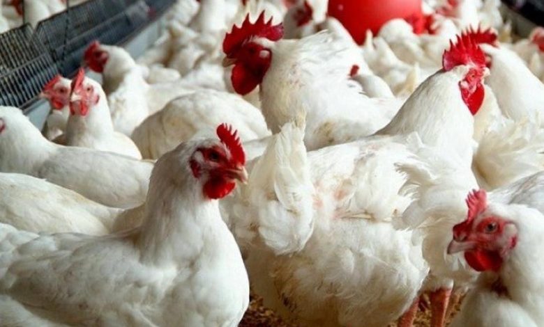 10F4AA46 F9F4 4E16 8A9A 35AE68B42E0E