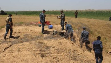 1123A0A7 BDB5 4E2D A31C ECF8D2BABEFD