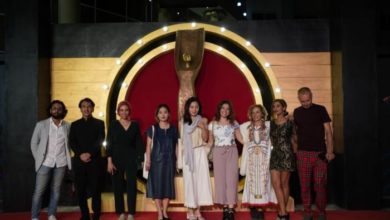 176 113647 the aswan festival daniel katz actor 700x400