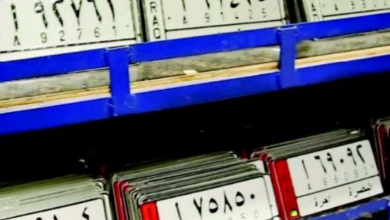 181662021 ooooooooooooooo