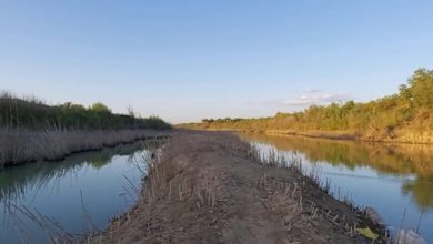 1C1680C5 8098 44B4 9D3D 64984C1A8756