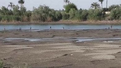 1C628CF6 98B7 4743 88AE 4DCE829FD3F5