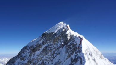 1DF27675 D266 49E0 8C80 DAA65B35021F