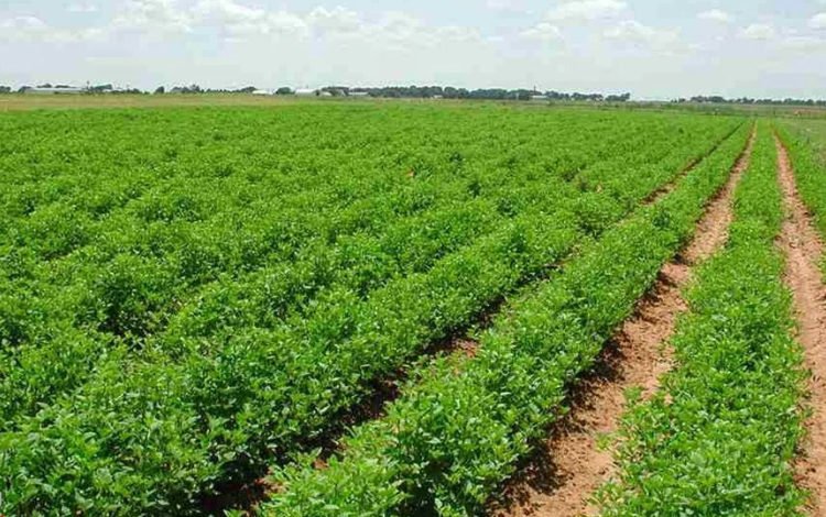 1EB06FE5 969D 453A A081 B1105E2F64D5