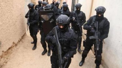 208CED89 46F8 4FBD A7B8 365BF88BF216