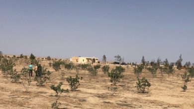 2107D571 043A 4592 9200 CC647F1CF5EB