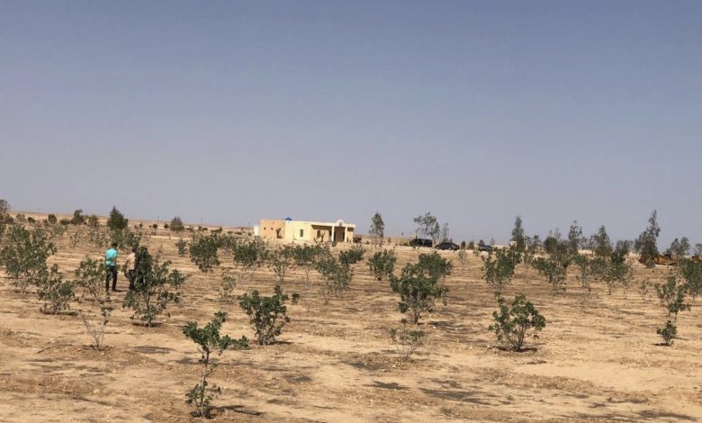 2107D571 043A 4592 9200 CC647F1CF5EB