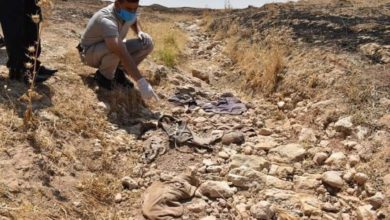 21662021 159357492318983000