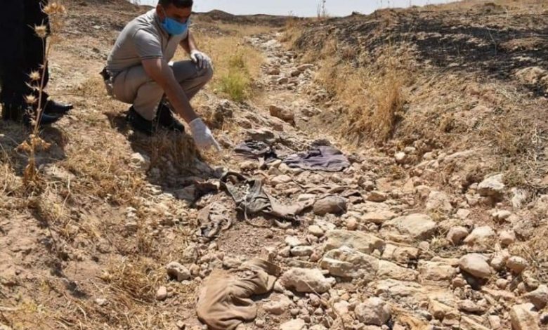 21662021 159357492318983000