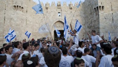 242935BD F423 43C9 AEE7 39A33C56BBAB