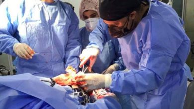 28B6D26E C27C 4A36 972C 98D6CEBFA4F6