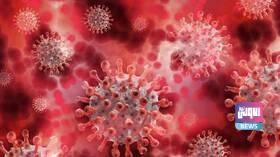 خبير صيني: التحقيق في منشأ "كوفيد- 19" ينبغي أن ينتقل إلى الولايات المتحدة 5 29388089 55F5 4F6D 9B05 7B5E5AB3743C