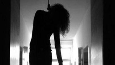 31DBC634 2AAE 4217 9F3D C45B8B776679