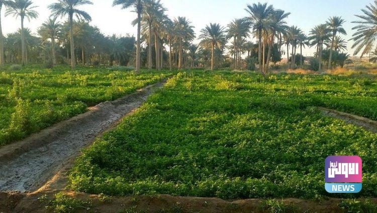 34C2659F E66F 4F9D 9893 E6666BA94232